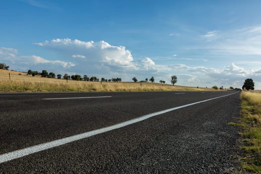 Empy rural road with long grass on its edges.