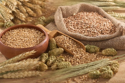 Beer,Hops,Hop Condese,Wheat,Cereals,Brewing,Brewery,Harvest