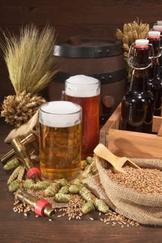 Beer carriers with various beers,wheat,barley,hops and malt
