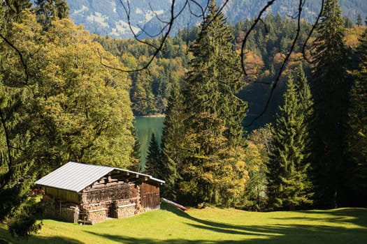 Wooden hut on a green meadow by the lake in the Allgäu