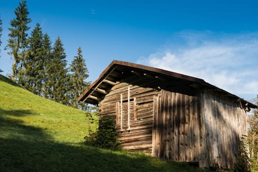 Wooden hut on a green meadow in the Allgäu