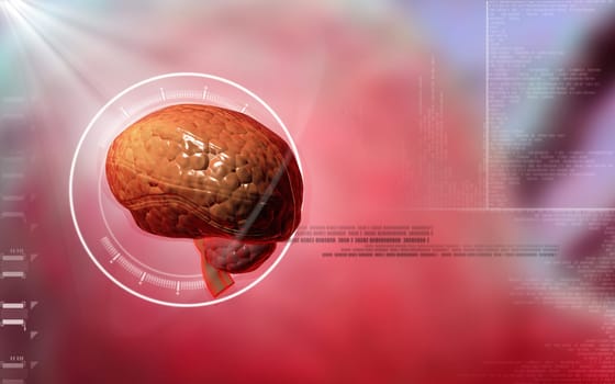 Digital illustration of brain in colour background
