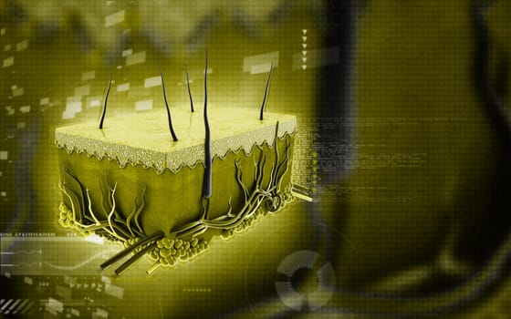 Digital illustration of Skin in colour background