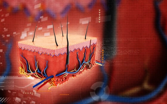 Digital illustration of Skin in colour background