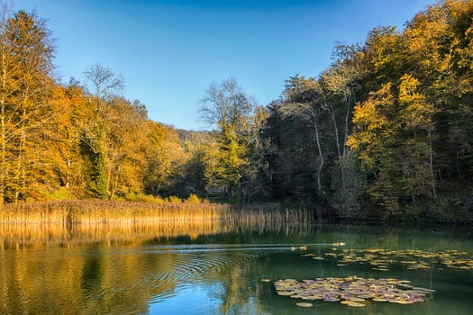 October mood at the upper pond