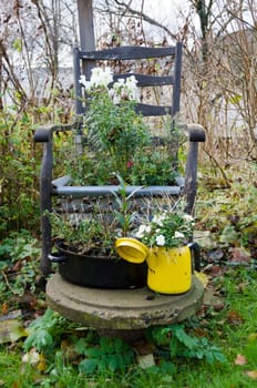 Flowers on a old chair of wood in the garden
