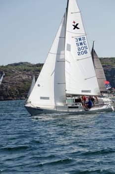 one sailing boat in a competition in sweden on the westcoast