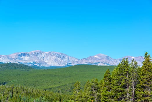 Bighorn Mountain Range rising above a dense evergreen forest in Wyoming