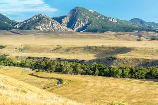 Fields leading to the foothills of the Bighorn Mountain Range near Buffalo, Wyoming