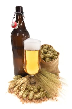 XXL beer bottle,beer glass and beer barrel with wheat,barley,hops and malt