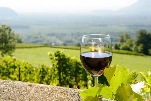 a glass of red wine exposed towards the sun