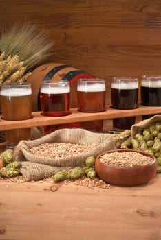 Beer carriers with many different beers,wheat,barley,hops and malt