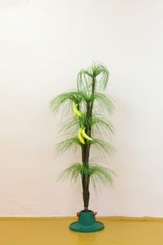 Artificial green palm with yellow bananas is on stand on the background light walls