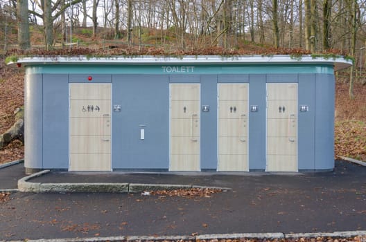 one outdoor toilette for male and female when they need it