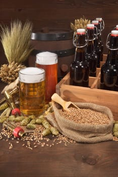 Beer carriers with various beers,wheat,barley,hops and malt
