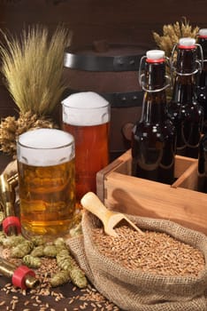 Beer carriers with various beers,wheat,barley,hops and malt