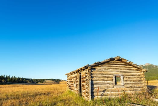 Abandoned homestead cabin in the Bighorn Mountains in Wyoming
