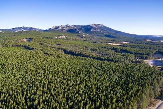 Aerial view of the Bighorn Mountains with a dense evergreen forest near Buffalo, Wyoming