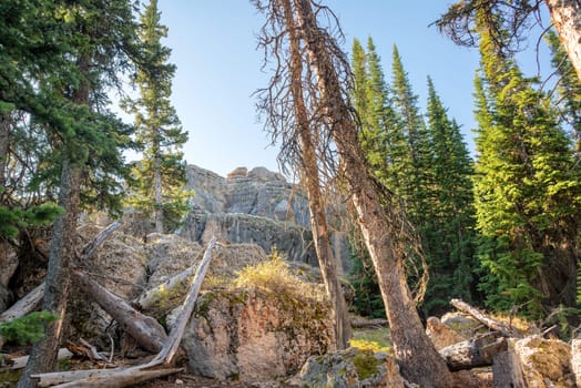 Forest with large boulders at High Park Lookout in Wyoming