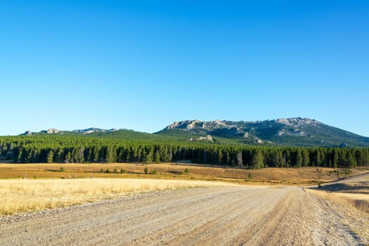 Dirt road with Bighorn Mountain Range and forest near Buffalo, Wyoming