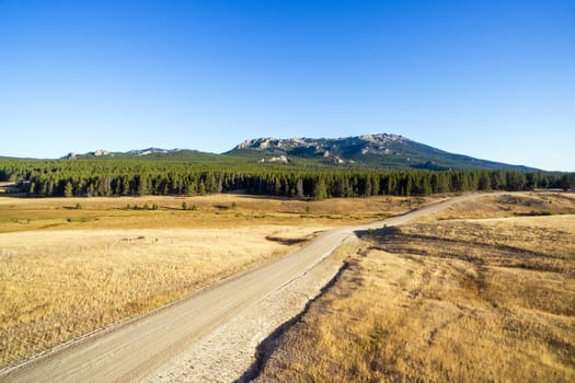 Aerial view of a dirt road passing through the Bighorn Mountains in Wyoming