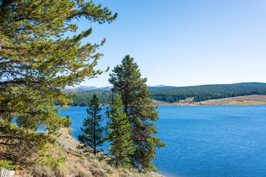 View of Meadowlark Lake and pine trees in Bighorn National Forest in Wyoming