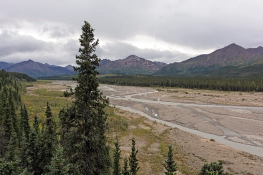 Braided Teklanika River in Denali National Park in Alaska