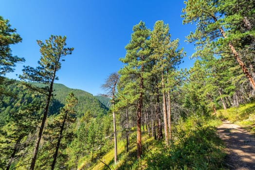 Hiking trail in South Piney Canyon near Story, Wyoming