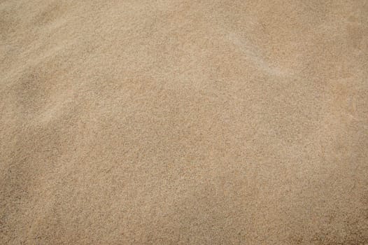 Sand texture for background. Top view