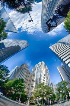 charlotte north carolina city skyline