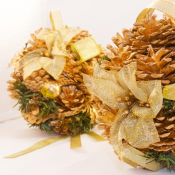 winter pinecones brilliant