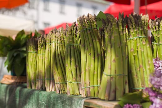 Bouquet of fresh asparagus at the market.
