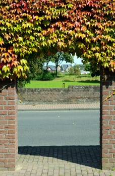 Entrance with Wild Wine