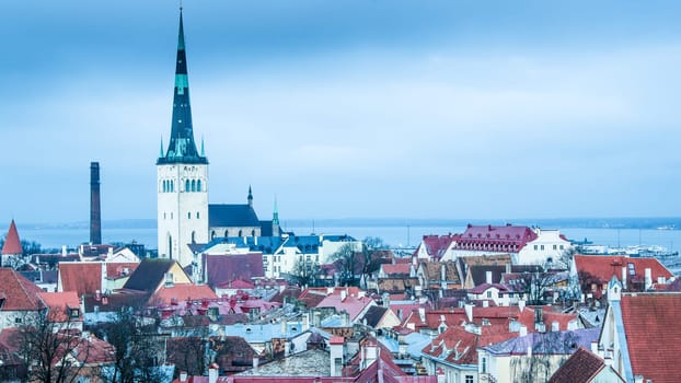 View of the roofs and spiers of old churches of Tallinn
