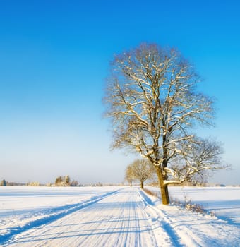 Winter road in the countryside, a beautiful winter day