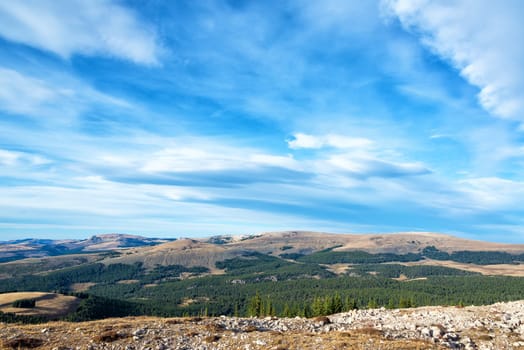 Late afternoon landscape in the Bighorn Mountains near the Medicine Wheel