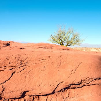Quebrada de Cafayate, Salta, Argentina
