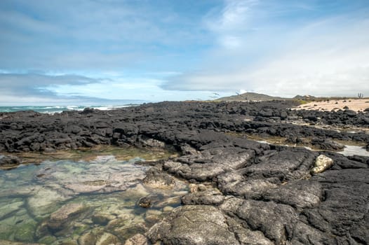 Beautiful landscape of Isabela Island, is the largest island of the Galapagos Islands, Ecuador