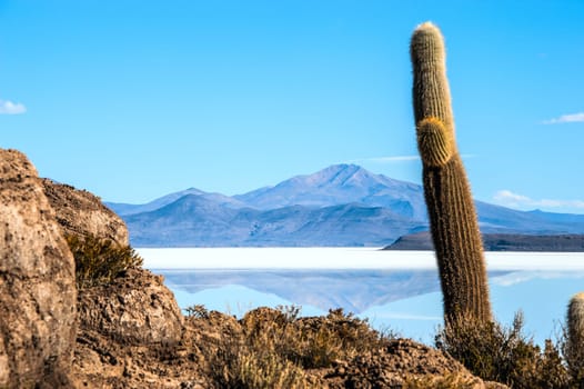 Isla de Pescadores, Salt lake Uyuni in Bolivia