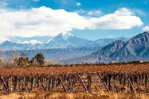 Volcano Aconcagua and Vineyard. Aconcagua is the highest mountain in the Americas at 6,962 m (22,841 ft). It is located in the Andes mountain range, in the Argentine province of Mendoza