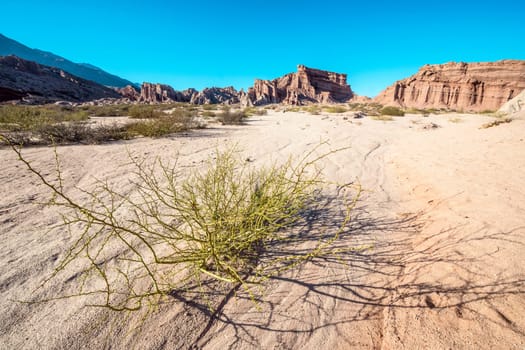 Quebrada de Cafayate, Salta, Argentina