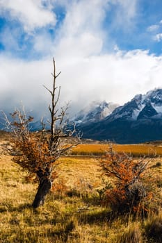 Autumn in Patagonia. The Torres del Paine National Park in the south of Chile is one of the most beautiful mountain ranges in the world
