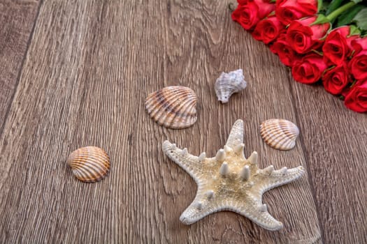 White starfish, shells and red roses on a wooden background