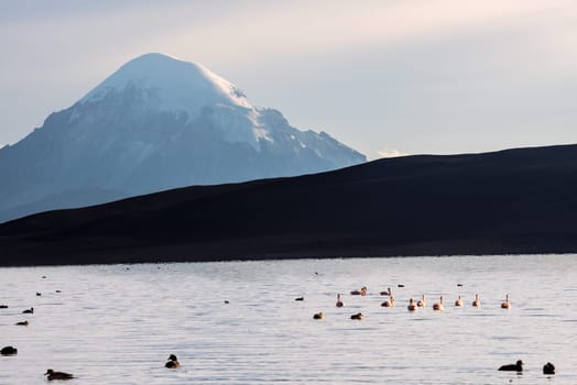 Snow capped Stratovolcano Sajama under the Lake Chungara, Chile-Bolivia