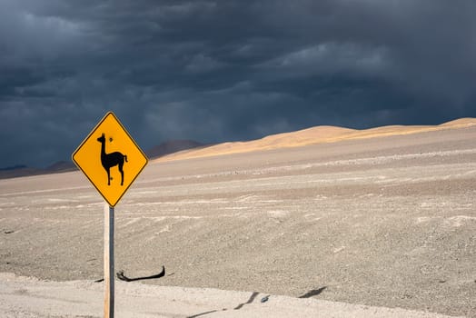 Vicugna (wild South American camelid) road sign, Salinas Grandes, northern Argentina
