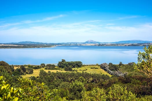 Lagoon of the Willow (Laguna del Sauce) is the largest water body in the Maldonado Department of Uruguay
