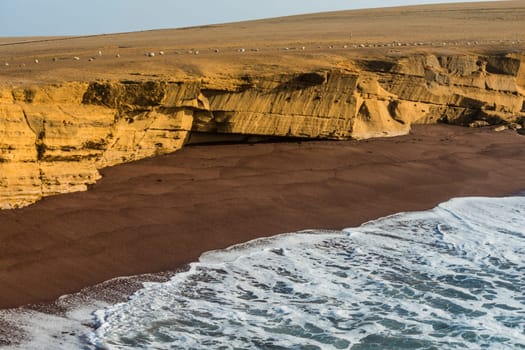 Paracas National Reserve. The very first Marine Conservation center in Peru, refer to the prolific wildlife and the great scenery as the "Galapagos of Peru"""