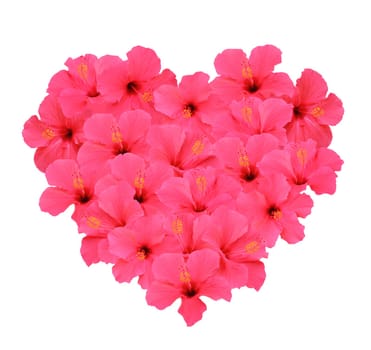 Heart shape bouquet made of Hibiscus flowers (Isolated on white background)