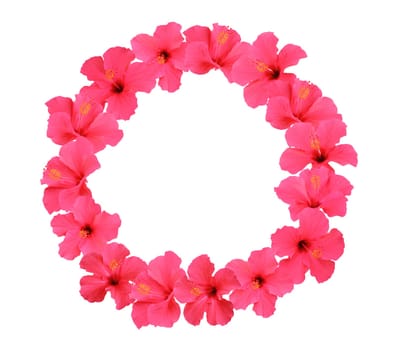 Hibiscus flower wreath isolated on white background