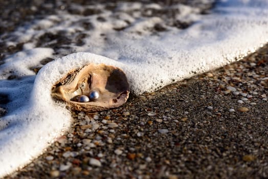 Australian pearls over an old shell on the beach washed by the waves of the sea.